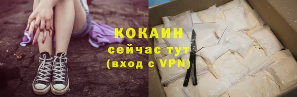 СК Алзамай