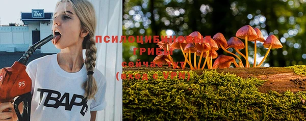 mdpv Пестово